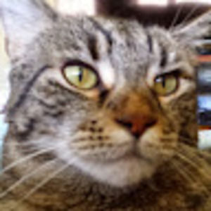 Meet your Posher, Stacy